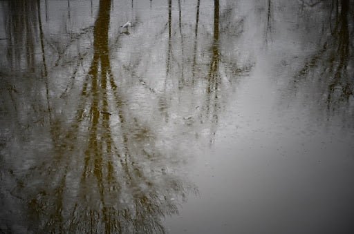 sněženky_foto Anet